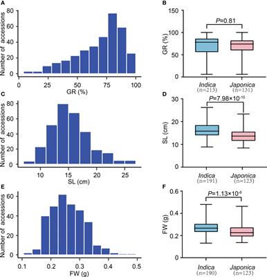 Genome-wide association study reveals novel QTLs and candidate genes for seed vigor in rice